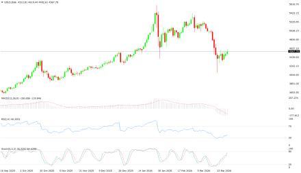 BoForex