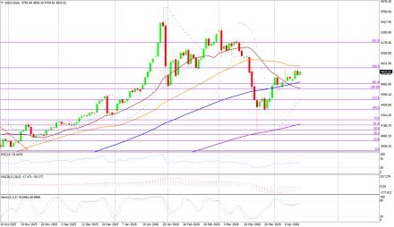BoForex
