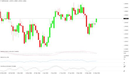 BoForex