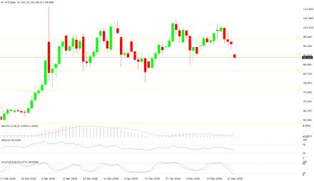 BoForex