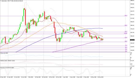 BoForex